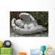 Sleeping Angel Wall Mural