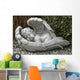 Sleeping Angel Wall Mural