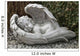 Sleeping Angel Wall Mural
