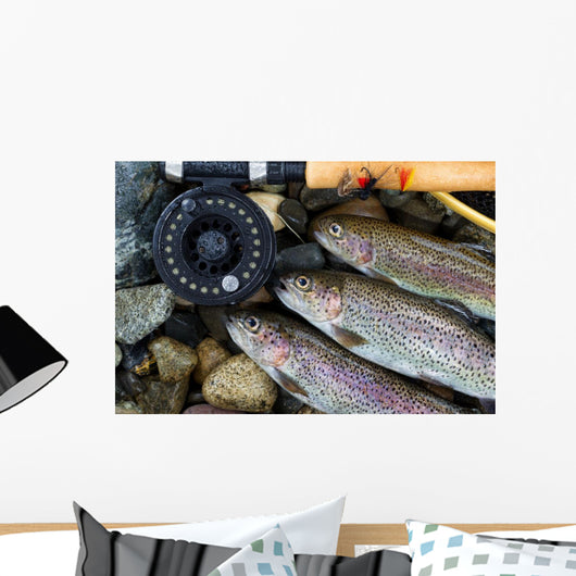 Catching Trout Wall Mural