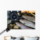 Catching Trout Wall Mural