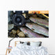 Catching Trout Wall Mural