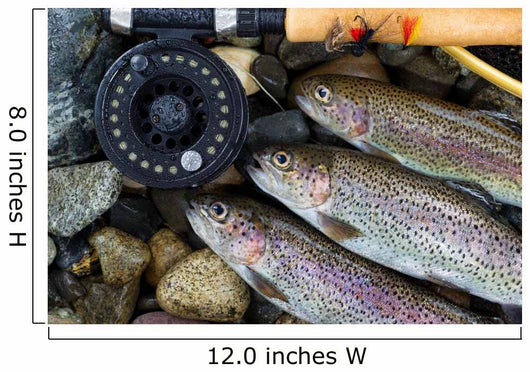 Catching Trout Wall Mural