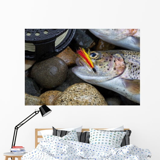 Trout Fly in mouth of Trout Wall Mural