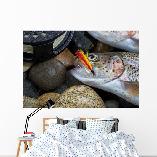Trout Fly in mouth of Trout Wall Mural