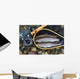 Trout inside Landing Net Wall Mural