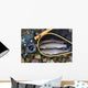 Trout inside Landing Net Wall Mural