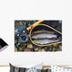 Trout inside Landing Net Wall Mural
