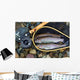 Trout inside Landing Net Wall Mural
