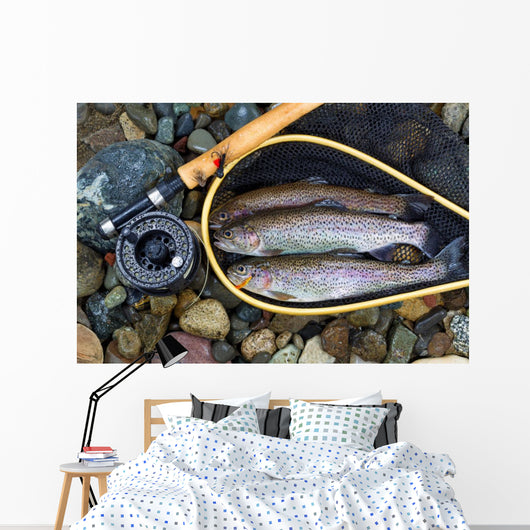 Trout inside Landing Net Wall Mural