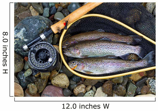 Trout inside Landing Net Wall Mural