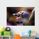 microphone Wall Mural
