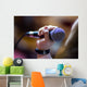 microphone Wall Mural