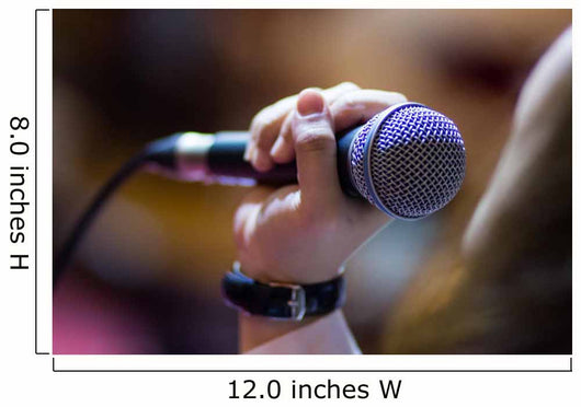 microphone Wall Mural
