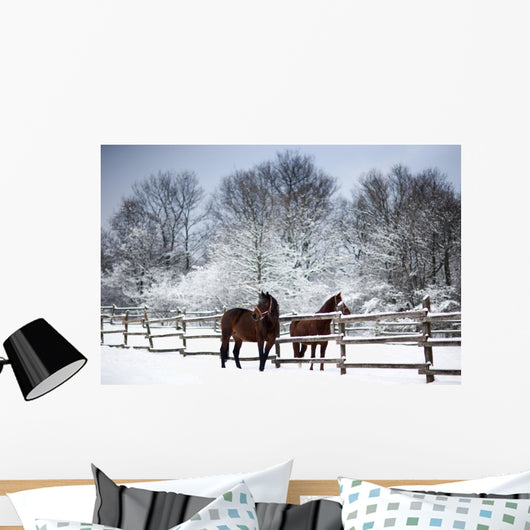 Chestnut horses winter Wall Mural