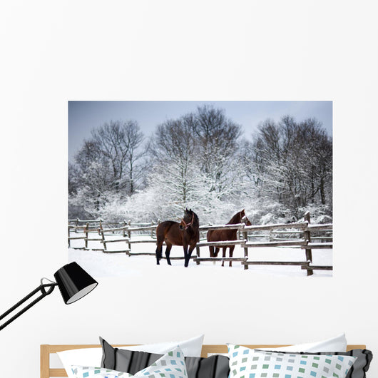 Chestnut horses winter Wall Mural