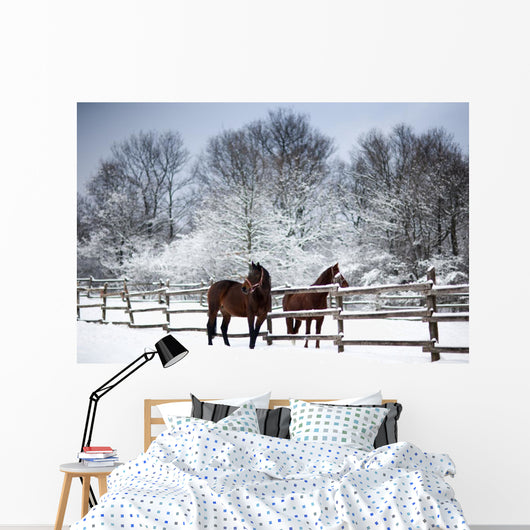Chestnut horses winter Wall Mural