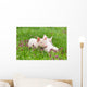 Piglets on grass Wall Mural