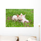 Piglets on grass Wall Mural