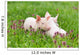 Piglets on grass Wall Mural