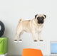 Pug Portrait