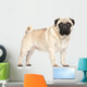 Pug Portrait