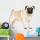 Pug Portrait