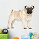 Pug Portrait