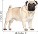 Pug Portrait