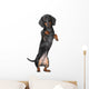 Miniature dachshund Wall Decal