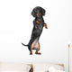 Miniature dachshund Wall Decal