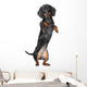 Miniature dachshund Wall Decal