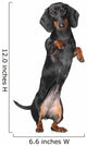 Miniature dachshund Wall Decal