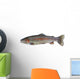 Native Rainbow Trout Wall Decal