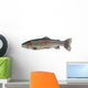 Native Rainbow Trout Wall Decal