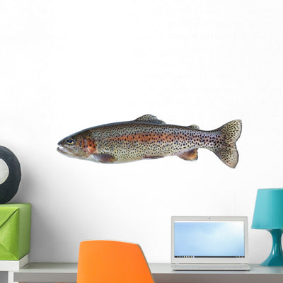 Native Rainbow Trout Wall Decal shown on a wall
