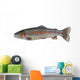 Native Rainbow Trout Wall Decal