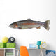 Native Rainbow Trout Wall Decal