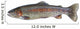 Native Rainbow Trout Wall Decal