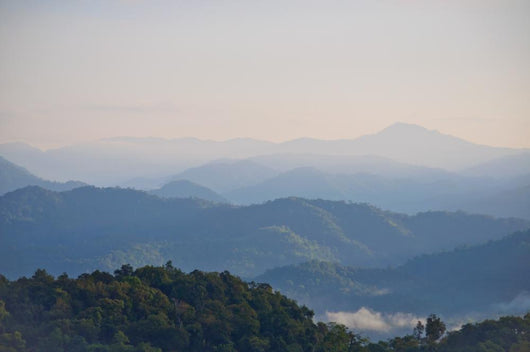Early morning fog and cloud mountain Wall Mural