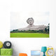 Chairman Mao statue in Changsha, Hunan Province, China Wall Mural