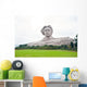 Chairman Mao statue in Changsha, Hunan Province, China Wall Mural