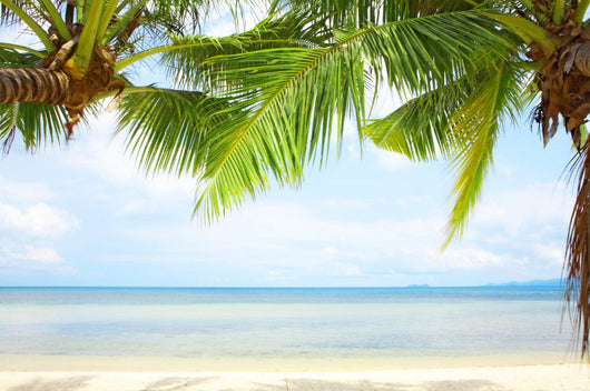 Tropic