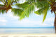 Tropic