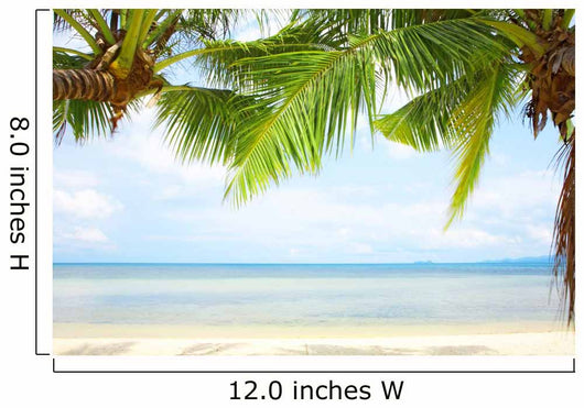Tropic