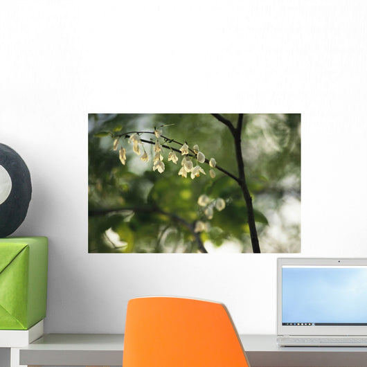 Delicate white flowers adorn tree branch spring  Wall Mural