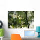Delicate white flowers adorn tree branch spring  Wall Mural