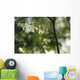Delicate white flowers adorn tree branch spring  Wall Mural