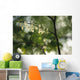 Delicate white flowers adorn tree branch spring  Wall Mural