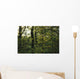  woodland view American holly tree foreground  Wall Mural